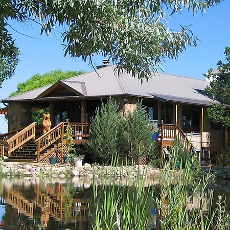 Starry Nights Ranch Bed & Breakfast Mancos Eksteriør billede